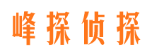 陵水寻人公司